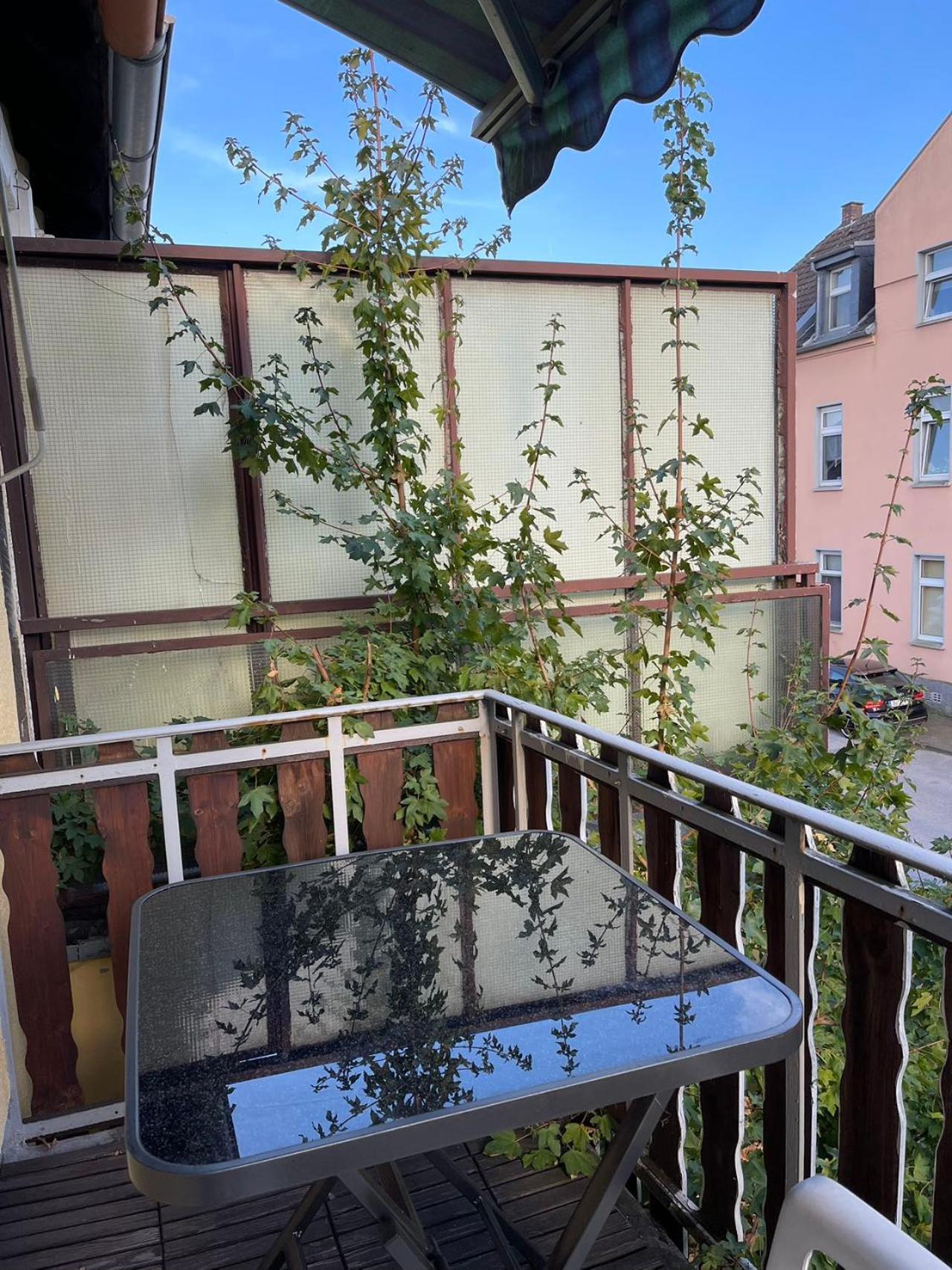 Duesseldorf Messe And Airport, 2-Bedroom Apartment With Kitchen And Garden Duisburg Eksteriør billede